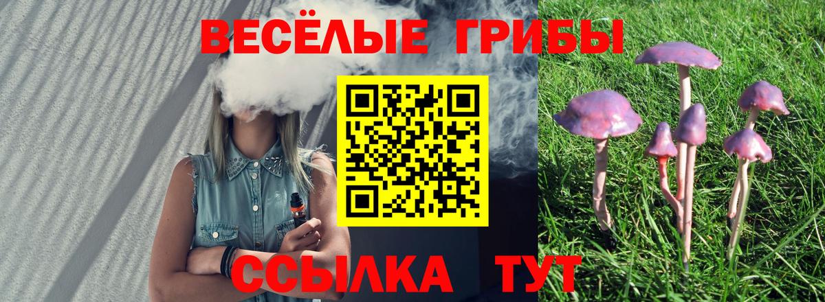 Псилоцибиновые грибы ЛСД Псков