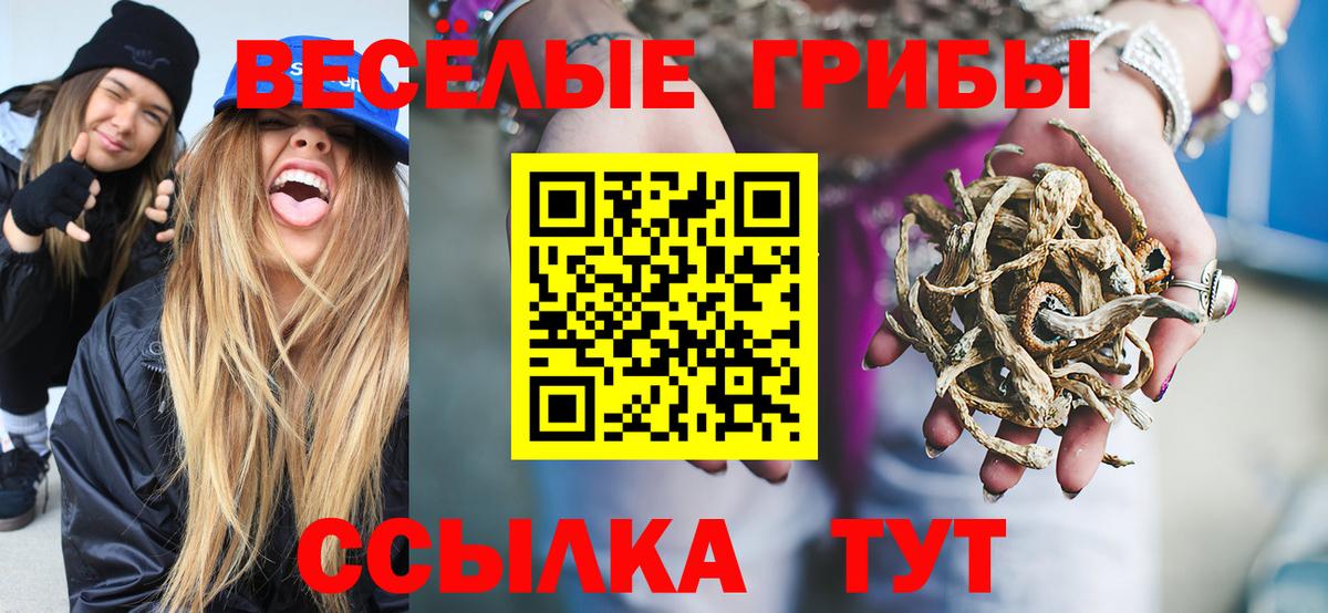 Галлюциногенные грибы Psilocybe  Вход с VPN  Псков  Галлюциногенные грибы Psilocybine cubensis 